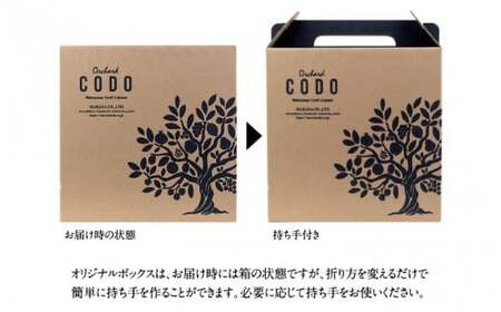 Orchard CODO 3本ギフトセット2（梅とエルダーの芳醇スパークリング 3本） / 和歌山 田辺市 梅干し 梅干 梅 うめ 酒  本格梅酒   ギフト 贈答品【isg025-2-1】