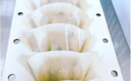 大西の梅餃子セット 50個入（25個入り×2パック） / 餃子 セット 食べ比べ 和歌山県 田辺市 ギョーザ 手作り 紀州南高梅 南高梅 宝梅使用 紀州うめぶた にんにく不使用 無添加 冷凍餃子 【gyz003-2】