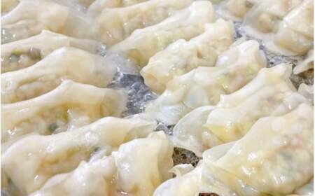 大西の餃子2種セット　50個(にんにく餃子・梅餃子　25個入り×各1パック） / 和歌山県 田辺市 ぎょうざ ギョウザ ギョーザ にんにく不使用 手作り 紀州うめぶた 紀州南高梅 南高梅 宝梅使用 無添加 冷凍【gyz005-2】