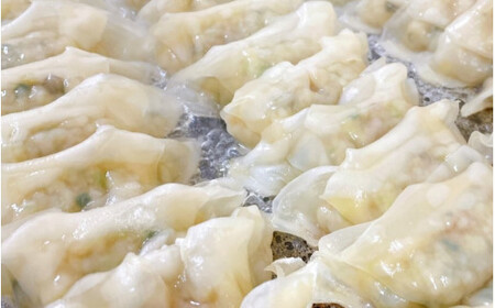 大西の餃子パーティーセット(にんにく餃子・梅餃子)　25個入り×各2パック　計100個 / 和歌山県 田辺市 ぎょうざ ギョウザ ギョーザ にんにく不使用 手作り 紀州うめぶた 紀州南高梅 南高梅 宝梅使用 無添加 冷凍【gyz009-2】