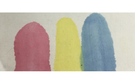 彩煙墨加色・赤・青・黄 / 田辺市 紀州松煙 紀州墨 彩煙墨 墨 墨セット 書道 書道用品 【skm022】