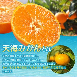 みかん 5kg 秀品 天海みかん  和歌山 【nak006-1】