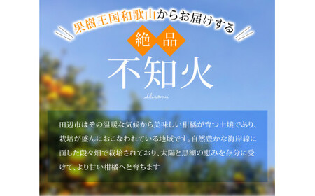 期間限定・2024/1/31まで】不知火1kg※2024年3月から順次発送予定