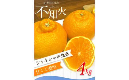 不知火 【期間限定1/31まで】不知火4kg※2025年3月から順次発送予定※ / 和歌山県 不知火 デコポン フルーツ 果物 柑橘 田辺市 【nak015-1】