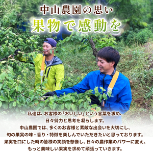 【期間限定・2026/4/30まで】中山農園の南高梅 青梅5kg※2026年5月下旬から順次発送予定※ / 紀州南高梅 梅シロップ 梅ジュース 梅酒 和歌山県 【nak018-1】