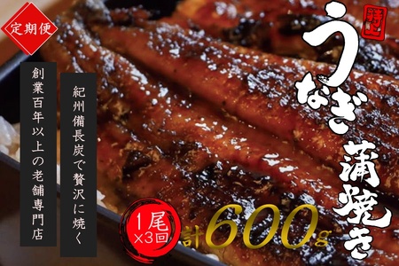 【全3回定期便】極上！国産うなぎ蒲焼 1尾×3回 計3尾 約600g 創業100年以上続く老舗 紀州備長炭でじっくり焼き上げた専門店の味 （タレ・山椒付き）/ うなぎ ウナギ 鰻 蒲焼 国産 ふるさと納税【tkb315】