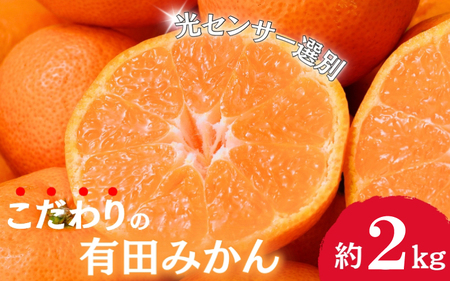 【2024年12月分】 〈年内発送〉 ＼光センサー選別／農家直送 こだわりの有田みかん 約2kg＋250g(傷み補償分)【ご家庭用】【12月発送】※北海道・沖縄・離島配送不可【nuk159-2C】