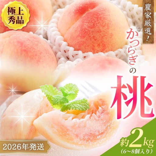【先行予約】【厳選】あふれる果汁で口いっぱい！ 和歌山県産 桃 約2kg（6個～9個） 【2026年6月末頃～2026年8月末頃に順次発送予定】（お届け日指定不可）/ 和歌山 桃 モモ フルーツ もも 白桃 果物 くだもの【kgr001A】