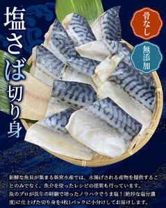 骨無し 無添加 塩さば 約500g（250g×2パック 8枚） /さば 塩さば 冷凍 おかず 魚 お魚 魚介 海鮮 安心 人気 大容量 小分け ごはんのお供 ふっくら やわらかい 美味しい 焼き魚 骨なし【nss510】