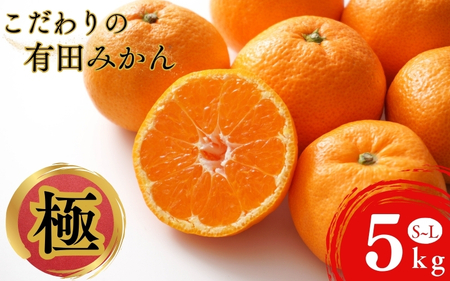 田村みかん並みの甘さ！ こだわりの和歌山県産 有田みかん 5kg（S～Lサイズおまかせ） ひとつひとつ手選別で厳選！生産者から直送 【2025年11月下旬～1月中旬ごろに順次発送予定】 | みかん フルーツ 果物 くだもの 有田みかん 蜜柑 柑橘【hdm005】