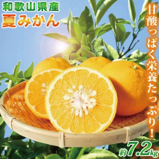 夏みかん 7.2kg　※2026年4月中旬頃～2026年4月下旬頃に順次発送予定（お届け日指定不可）【uot775】