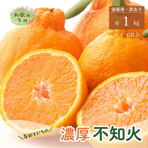 【先行予約】有田育ちの濃厚不知火(ご家庭用)(通称デコポン)　約1kg【ard208A】