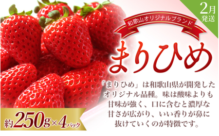 【全3回】＼フルーツ大国和歌山からお届け／  旬のフルーツ 定期便（いちご・桃・ピオーネ）【tkb401】