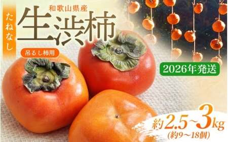 甘さが違う！とっても甘くなる生渋柿（平たねなし柿）吊るし柿用 T字枝or吊るしクリップ付 約2.5～3kg 約9～18個 １０月下旬～順次発送）(日付指定不可) -Ted【art040】