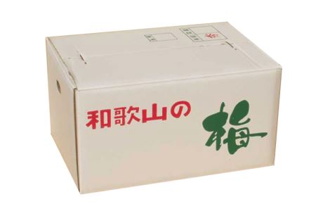 【梅干・梅酒用】（4Lまたは3L－2Kg）熟南高梅＜2025年6月上旬～7月上旬ごろに順次発送予定＞ / 梅 青梅 梅干 梅干し 大容量 梅酒 お酒【art006A】