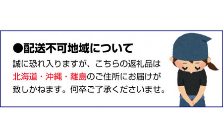 南高梅 青梅 生梅 完熟 梅干し 和歌山県 紀州 梅酒 梅ジュース 梅シロップ / 【梅干・梅酒用】（3Lまたは2L－2Kg）熟南高梅＜2025年6月上旬～7月上旬ごろに順次発送予定＞【art008A】  | 和歌山県新宮市 | ふるさと納税サイト「ふるなび」