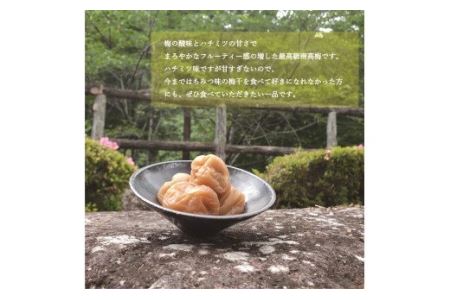 【贈答用】紀州南高梅 食べ比べセット 500g×2　（はちみつ・白干） / 梅干 梅干し 梅 南高梅 人気 大粒【inm900-6B】