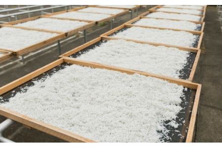 茹でたて釜揚げしらす　1kg箱入り【冷凍】無添加・無着色 しらす シラス 釜揚げ 冷凍【mar112】