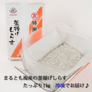 茹でたて釜揚げしらす　1kg箱入り【冷凍】無添加・無着色 しらす シラス 釜揚げ 冷凍【mar112】