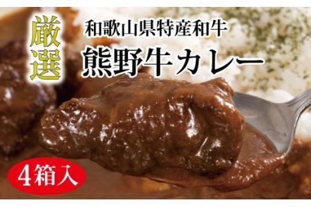 特選黒毛和牛 熊野牛カレー ４箱【mtf102】