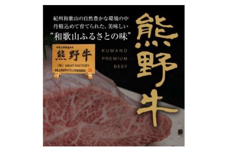 特選黒毛和牛 熊野牛 焼肉セット（バラ・肩ロース） 約１kg【mtf400】