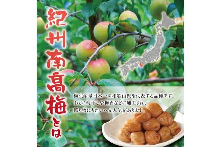 紀州南高梅　＜つぶれ梅＞うす塩2kg【ハチミツ入】塩分10%　なかやまさんちの梅干【nky015-120k】