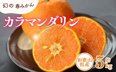 カラマンダリン 約5kg/サイズおまかせ　※2026年4月上旬～2026年5月上旬頃に順次発送予定(お届け日指定不可)　紀伊国屋文左衛門本舗【sgtb470A】