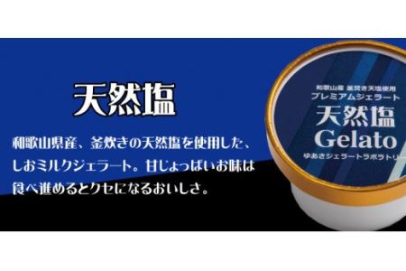 プレミアムジェラート 天然塩12個セット アイスクリームセット 100mlカップ ゆあさジェラートラボラトリー【sgtb700-04】