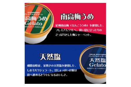 プレミアムジェラート 詰め合わせセット（6種類×2個） アイスクリームセット 100mlカップ ゆあさジェラートラボラトリー【sgtb701】