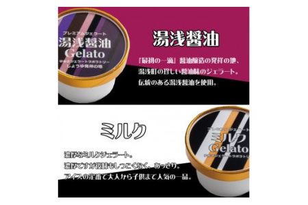 プレミアムジェラート 詰め合わせセット（6種類×2個） アイスクリームセット 100mlカップ ゆあさジェラートラボラトリー【sgtb701】