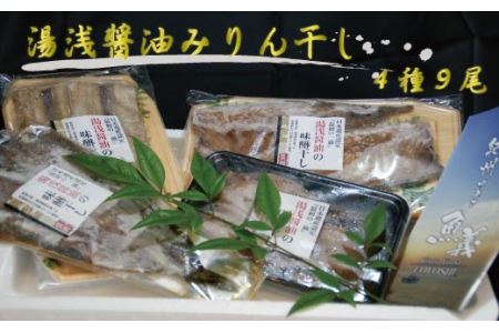 和歌山の近海でとれた新鮮魚の湯浅醤油みりん干し4品種9尾入りの詰め合わせ
【tec200A】