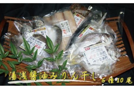 和歌山の近海でとれた新鮮魚の梅塩干物と湯浅醤油みりん干し6品種10尾入りの詰め合わせ【tec201】