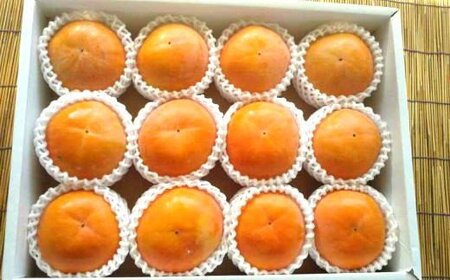 ［厳選・産直］和歌山産の富有柿約4kg（化粧箱入り）（2L～4Lサイズ）【2026年発送】【tec401B】