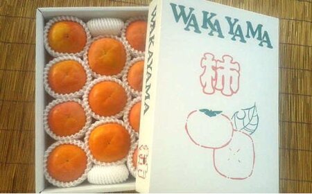 ［厳選・産直］和歌山産の富有柿約4kg（化粧箱入り）（2L～4Lサイズ）【2026年発送】【tec401B】