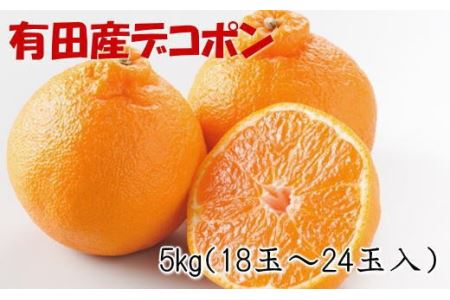 【お味濃厚】紀州有田産のデコポン約5kg(18玉～24玉入り・青秀以上) ※2026年2月中旬～2026年3月中旬頃順次発送【tec810B】