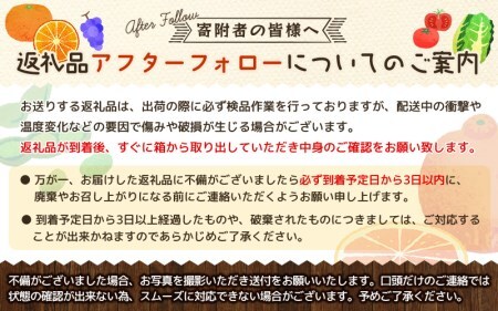 【厳選・濃厚】紀州有田産のはるみ約4kg(2L～3Lサイズおまかせ) ※2025年1月下旬～2025年2月中旬頃より順次発送 【tec820A】