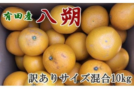 【手選果・訳あり】有田産の八朔10kg（サイズ混合）＜2025年1月下旬～2月下旬頃に順次発送＞【tec847】