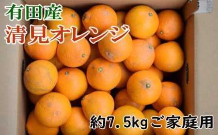 【産直】有田産清見オレンジ 約7.5kg（訳あり家庭用サイズおまかせまたは混合）※2025年2月上旬～3月下旬頃順次発送予定（日付指定不可）【tec867A】