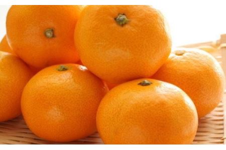 【産直・秀品】和歌山下津みかん　9kg(2Lサイズ) ※2025年11月中旬～2026年1月中旬頃に順次発送【tec869A】