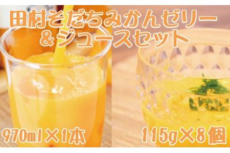田村そだちみかんゼリー＆ジュースセット【uot101】