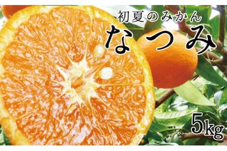 初夏のみかん　なつみ5kg【予約】※2025年4月中旬～2025年4月下旬頃に順次発送予定(お届け日指定不可) みかん ミカン 蜜柑 フルーツ【uot501-2】