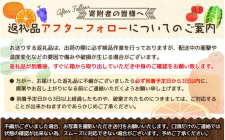 初夏のみかん　なつみ5kg【予約】※2025年4月中旬～2025年4月下旬頃に順次発送予定(お届け日指定不可) みかん ミカン 蜜柑 フルーツ【uot501-2】