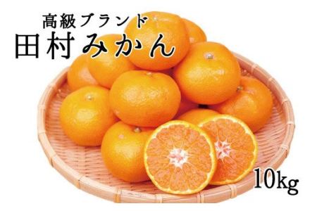 高級ブランド田村みかん　10kg【予約】※2024年11月下旬頃～2025年1月下旬頃に順次発送予定(お届け日指定不可)【uot505】