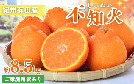 【ご家庭用訳あり】紀州有田産不知火(しらぬひ) 約8.5kg 【予約】　※2025年2月中旬頃～3月上旬頃に順次発送予定(お届け日指定不可)【uot507】