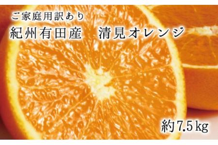 【ご家庭用訳アリ】紀州有田産清見オレンジ　7.5kg 	※2025年3月下旬～2025年4月中旬頃に順次発送予定(お届け日指定不可)【uot730】