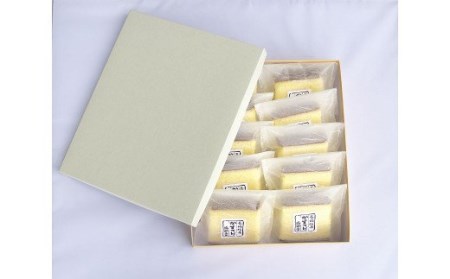 長崎伝来かすてら 10個入 カステラ 個包装 詰め合わせ ドーナツ スイーツ 菓子 お菓子 ギフト 焼き菓子【fks113A】