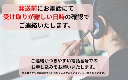 \朝どれ新鮮/ 鮮魚セット (小) 約3kg 目利きのプロが厳選した旬の魚をその日の内に発送!【nss404】