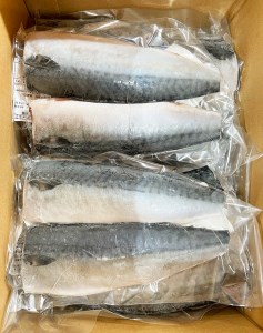 塩さばフィレ２４枚入(真空パック入)  / さば 鯖 おかず 冷凍 魚 切り身 焼き魚 焼魚 切身【uot742B-1】