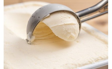 プレミアムジェラート／ソルベ３種セット（南高梅うめ・純黄金有田みかん・もも）／ジェラート アイスクリーム プレミアムソルベ 100ml／ゆあさジェラートラボラトリー 紀伊国屋文左衛門本舗 SenZanAn Premium Ice Cream【sgtb704】