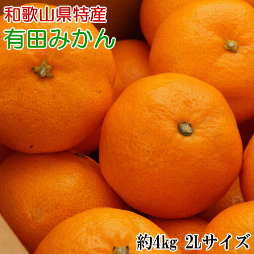 [秀品]和歌山有田みかん約4kg(2Lサイズ) ※2026年11月中旬～2027年1月中旬頃に順次発送予定（お届け日指定不可） 【tec915B】